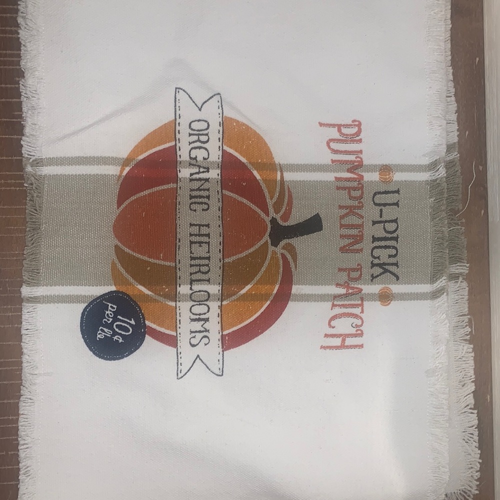 NWT DII Fall Place Mats (Set of 4)